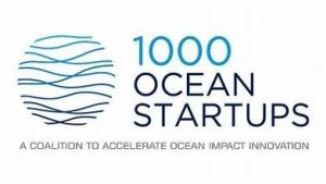 1000ocean