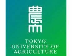 Tokyo university